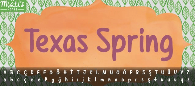 Texas Spring Cartoon Type Free font